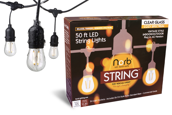 NorbSTRING 50 foot LED string light with 2 watt AC S14 bulbs