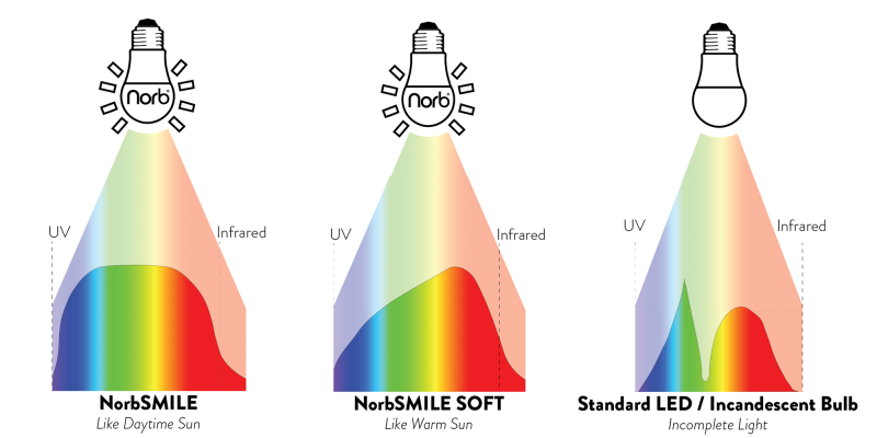 fluorescent light spectrum vs incandescent spectrum